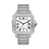 DIAMOND FLORA Moissanite Watchs